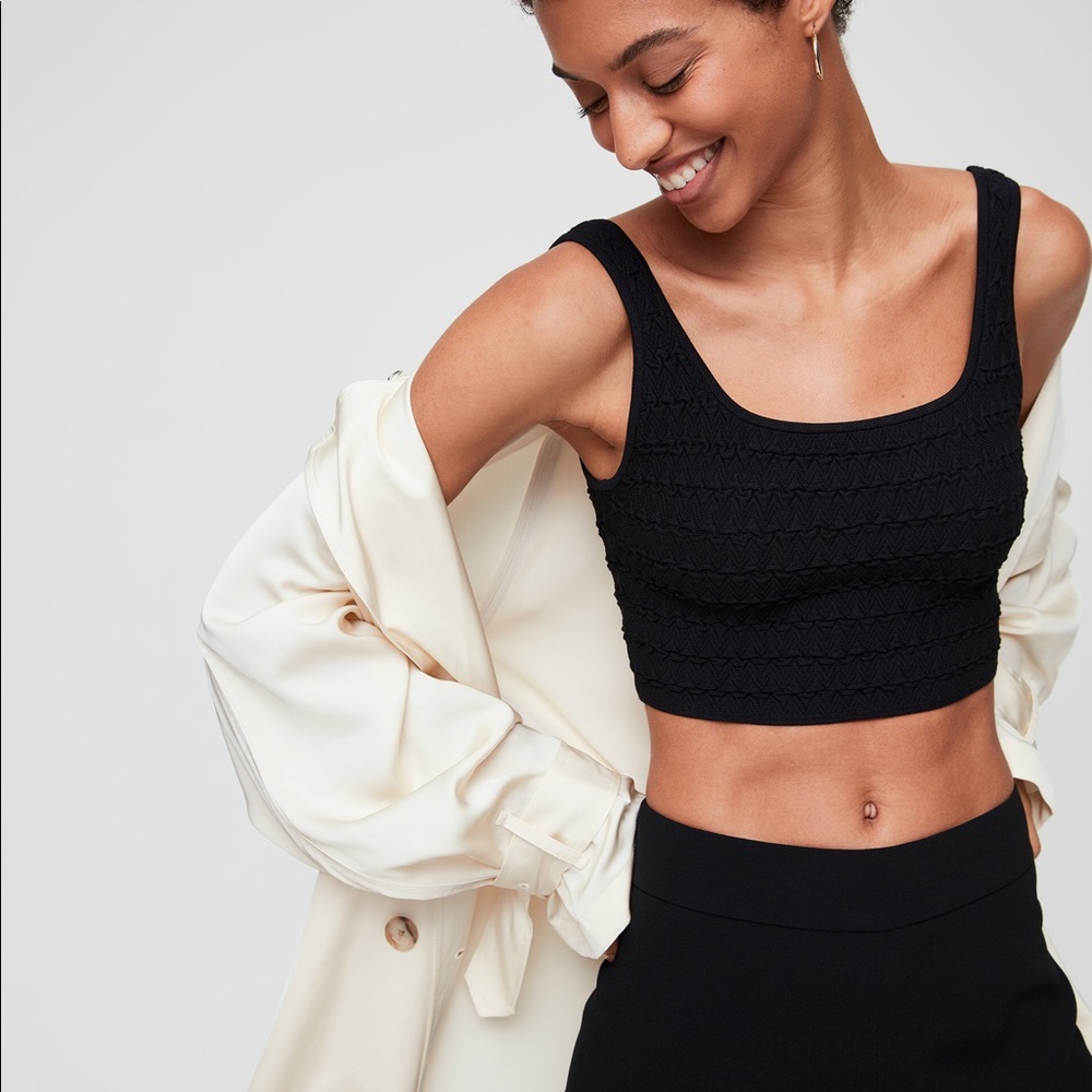 Aritzia Babaton Arjun Knit Top